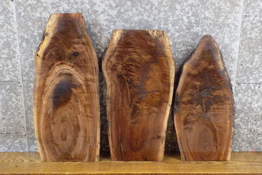 3- Salvaged Live Edge Black Walnut DIY Charcuterie Boards/Slabs 5036-5038